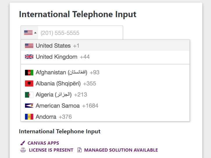 International telephone input sample